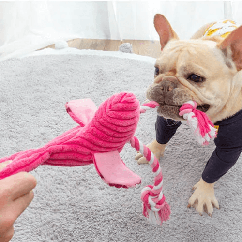Pelúcia de Flamingo Festivo para Cães e Gatos