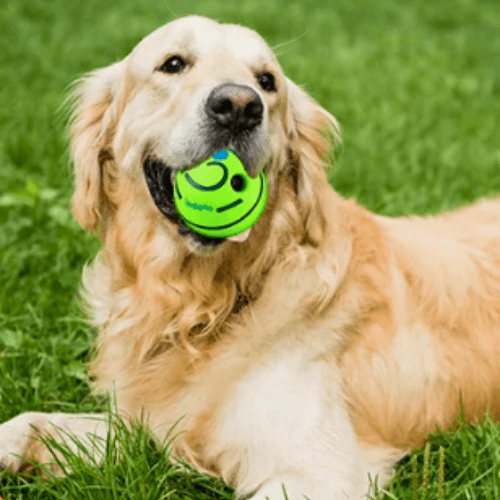 Bola Wobble Toy para Pets – Brinquedo Interativo e Estimulante