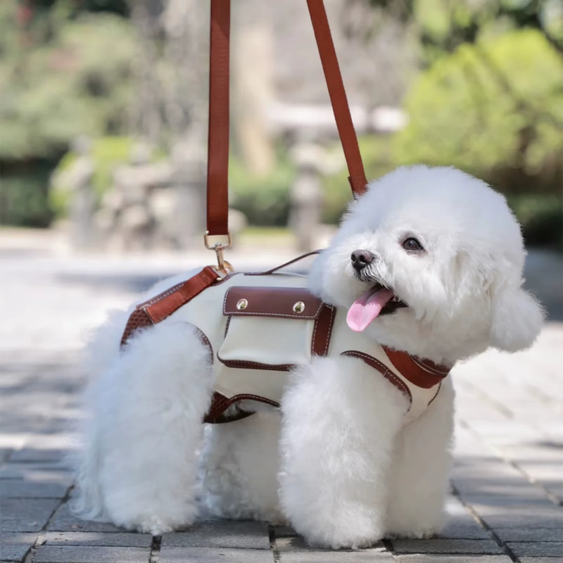 Bolsa de Transporte Moderna para Pets – Conforto e Estilo em Viagens