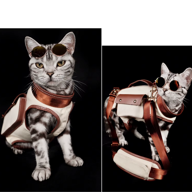Bolsa de Transporte Moderna para Pets – Conforto e Estilo em Viagens