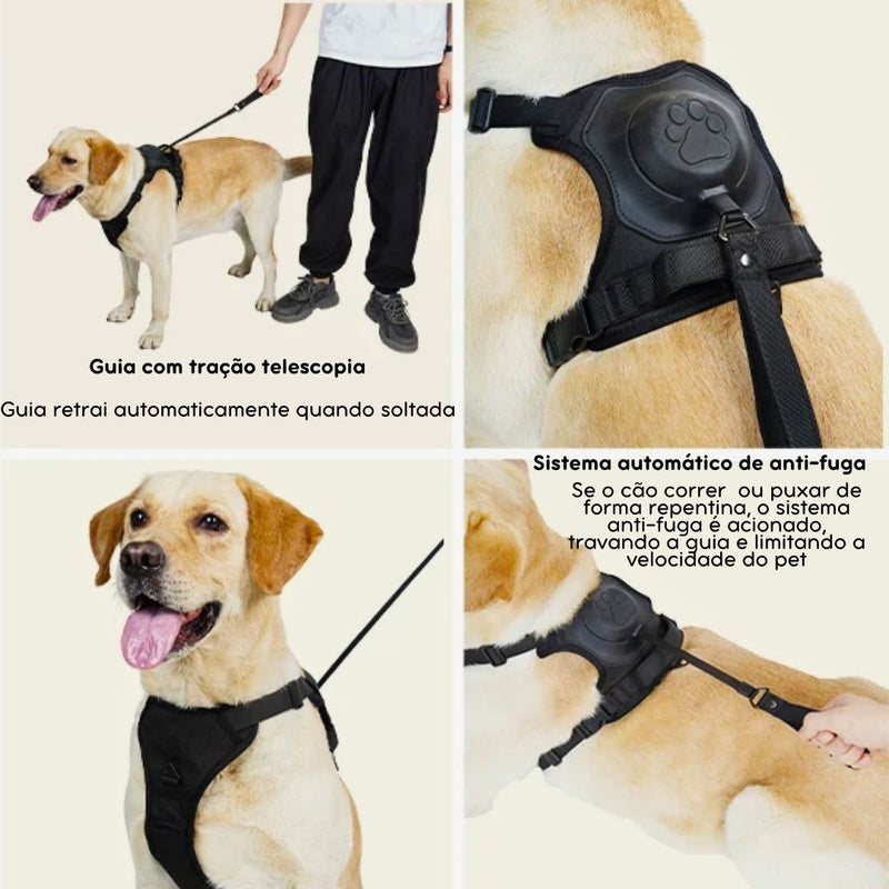 Coleira com Guia Embutida para Pets – Prática e Segura para Passeios