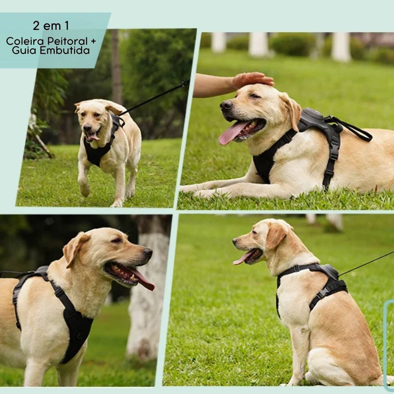 Coleira com Guia Embutida para Pets – Prática e Segura para Passeios