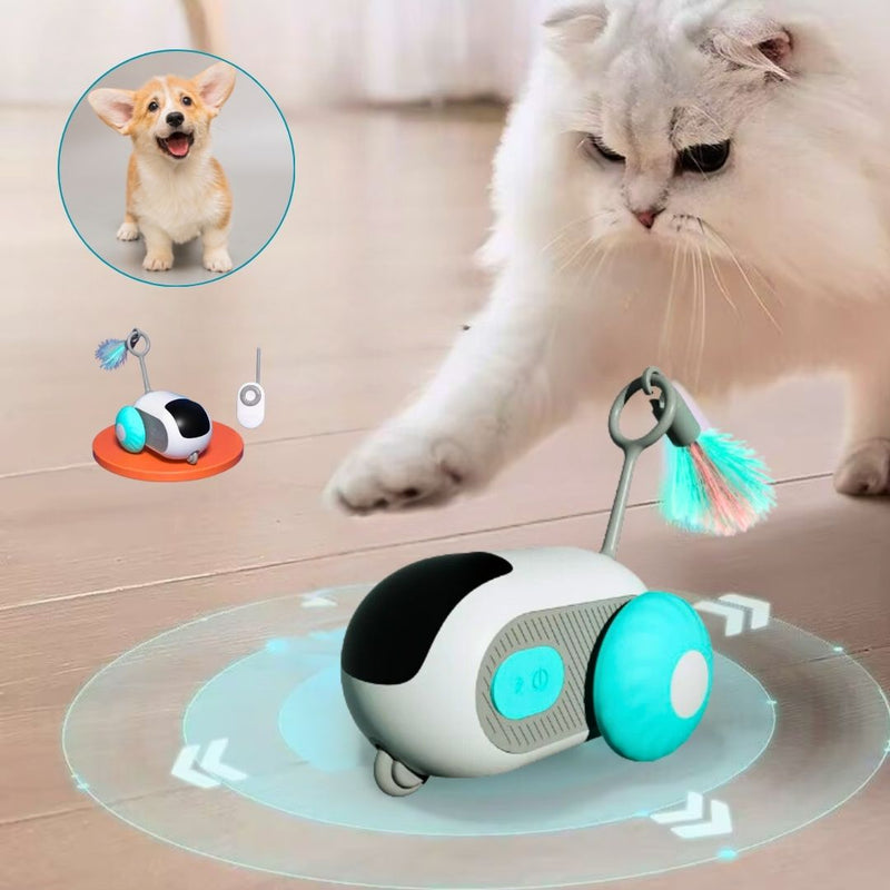Carrinho Interativo para Pets – Estimula a Curiosidade com Movimento Inteligente