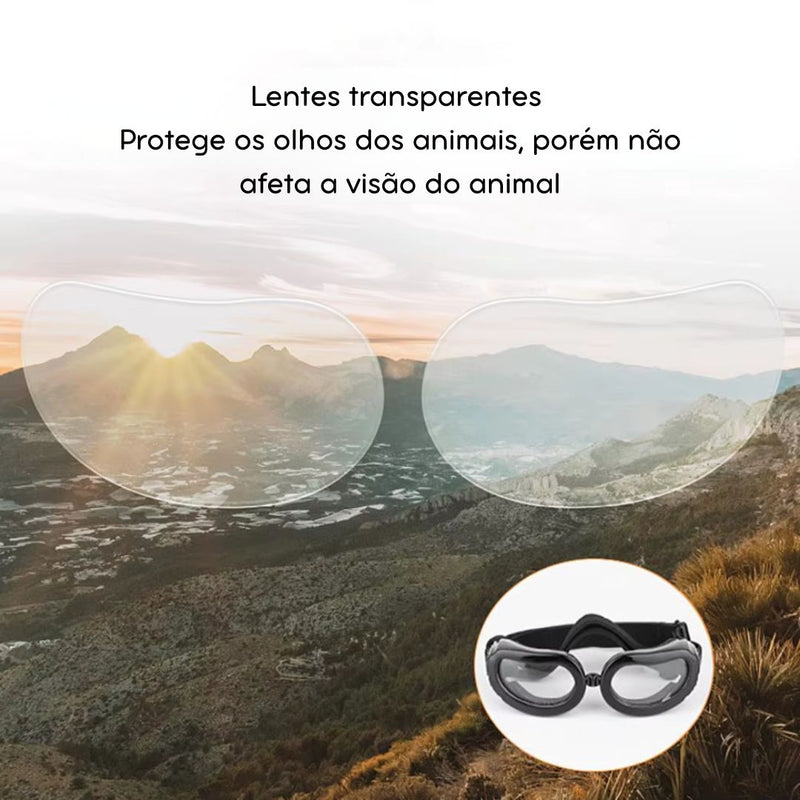 Óculos de Sol para Cães e Gatos – Proteção UV, Prova de Vento para Passeios ao Ar Livre