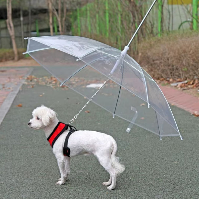 Guarda-Chuva de Proteção para Pets - Mantém o Pet Seco e Confortável