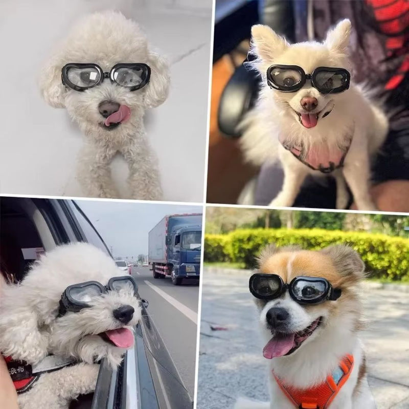 Óculos de Sol para Cães e Gatos – Proteção UV, Prova de Vento para Passeios ao Ar Livre