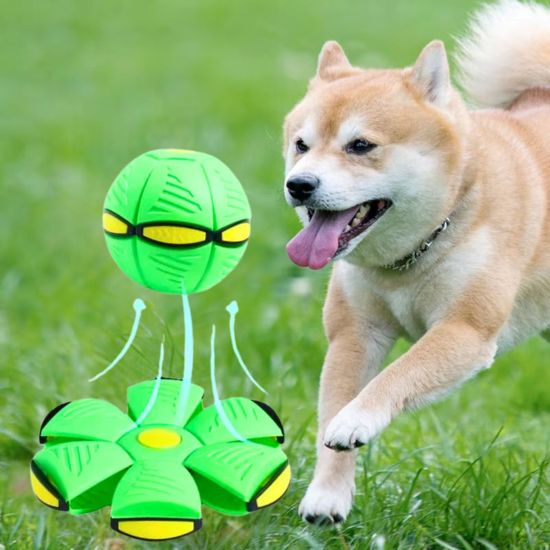 Bola UFO Voadora para Cães – Brinquedo Interativo com Lançamento a Distância