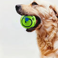 Bola Wobble Toy para Pets – Brinquedo Interativo e Estimulante
