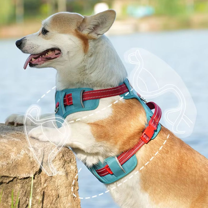 Coleira Peitoral Antipuxão para Cães – Conforto e Segurança