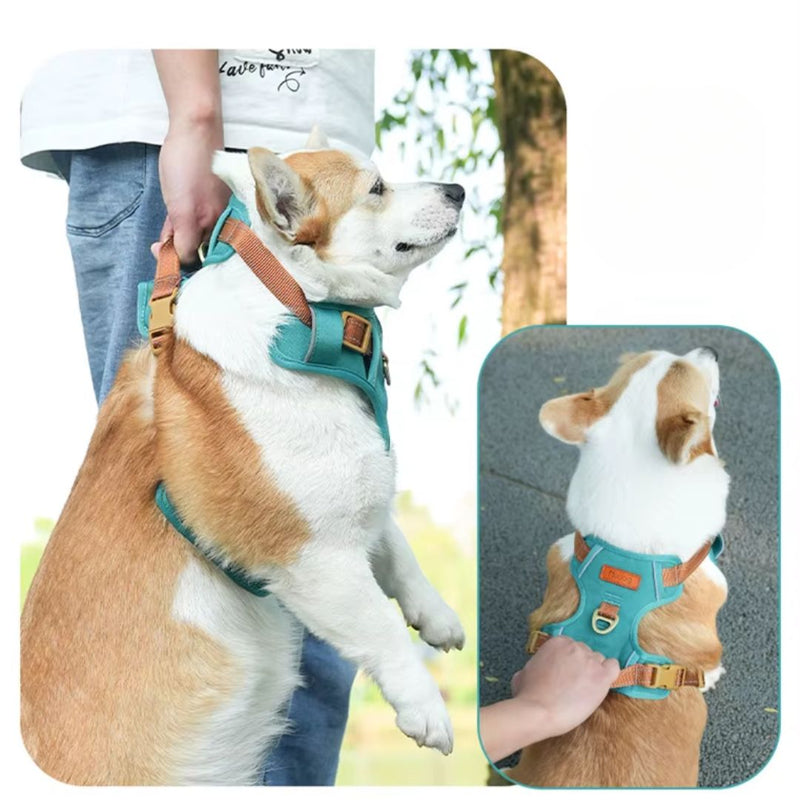 Coleira Peitoral Antipuxão para Cães – Conforto e Segurança