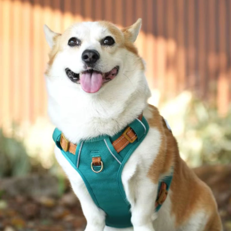 Coleira Peitoral Antipuxão para Cães – Conforto e Segurança