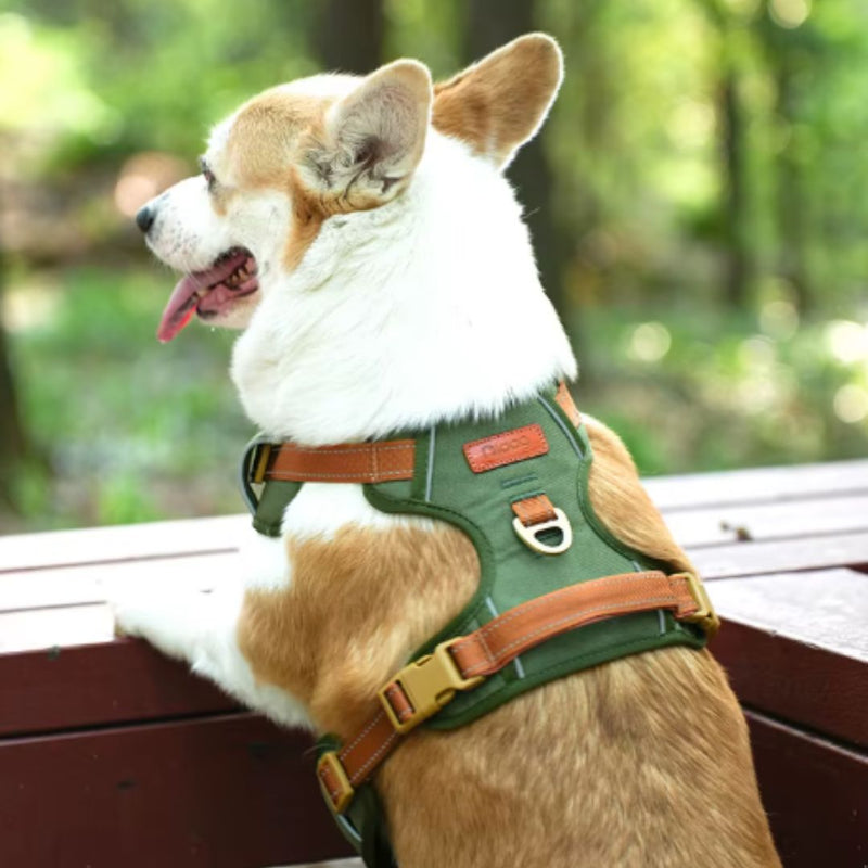 Coleira Peitoral Antipuxão para Cães – Conforto e Segurança