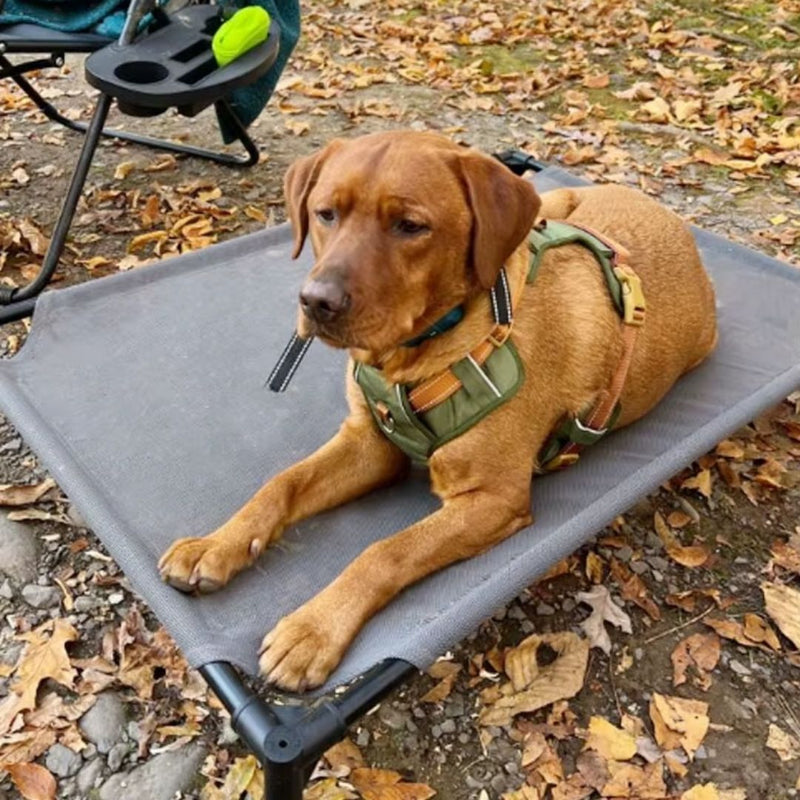 Coleira Peitoral Antipuxão para Cães – Conforto e Segurança