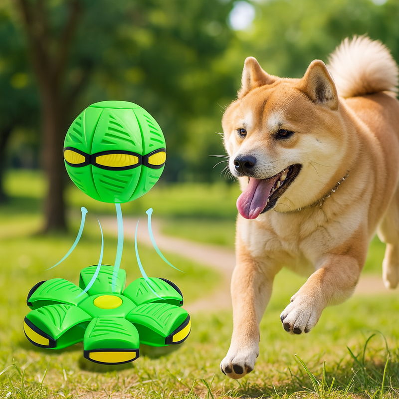 Bola Interativa Voadora – Seu cão nunca se divertiu tanto!