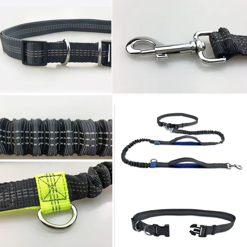 Guia Mãos Livres para Pets - Ideal para Corridas e Caminhadas ao Ar Livre