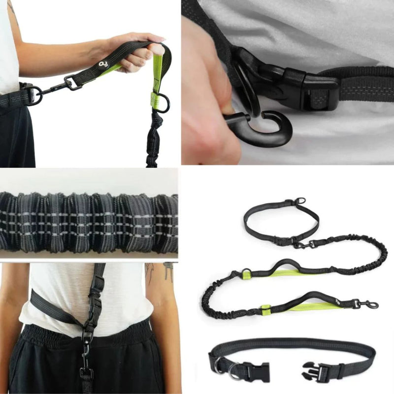 Guia Mãos Livres para Pets - Ideal para Corridas e Caminhadas ao Ar Livre