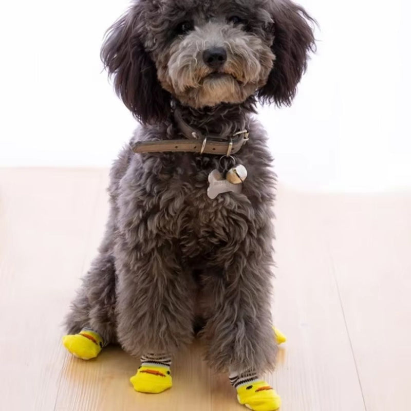 Meias Antiderrapantes para Pets | Proteção e Conforto em Ambientes Escorregadios