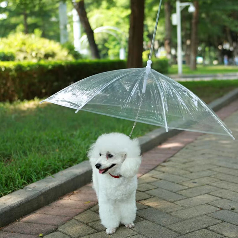 Guarda-Chuva de Proteção para Pets - Mantém o Pet Seco e Confortável