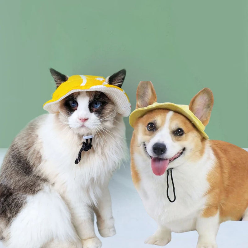 Chapéu de Sol para Pets – Proteção UV e Estilo para Cães e Gatos