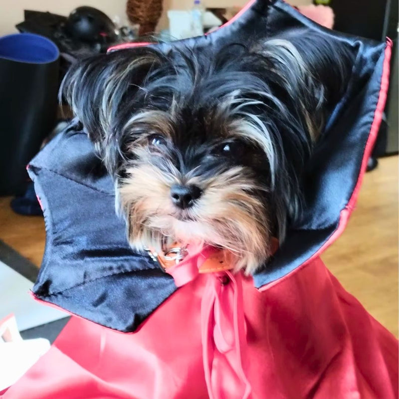 Fantasia Capa de Vampiro para Pets – Com Ajuste Fácil