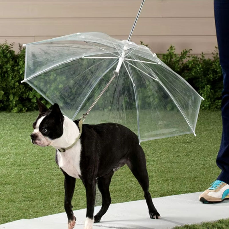 Guarda-Chuva de Proteção para Pets - Mantém o Pet Seco e Confortável