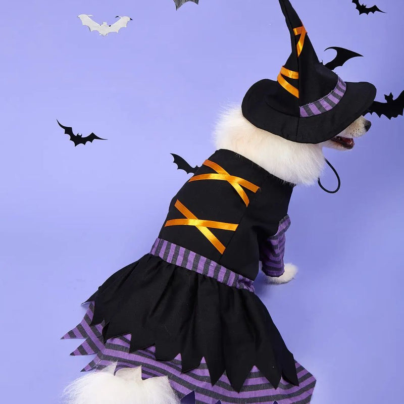 Fantasia de Bruxa para Cães e Gatos