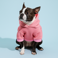 Moletom Pet Aconchegante – Ideal para Dias Frios