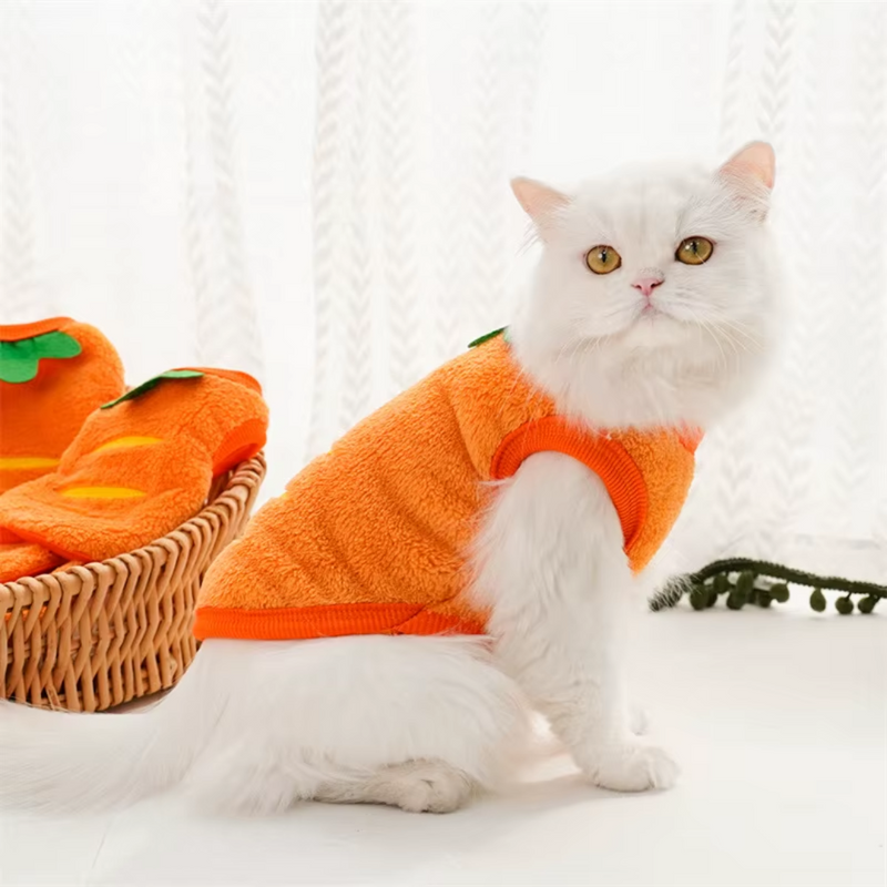 Fantasia de Cenoura para Cães e Gatos