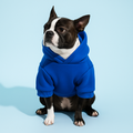 Moletom Pet Aconchegante – Ideal para Dias Frios