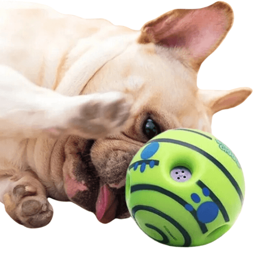 Bola Wobble Toy para Pets – Brinquedo Interativo e Estimulante