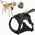 Coleira com Guia Embutida para Pets – Prática e Segura para Passeios