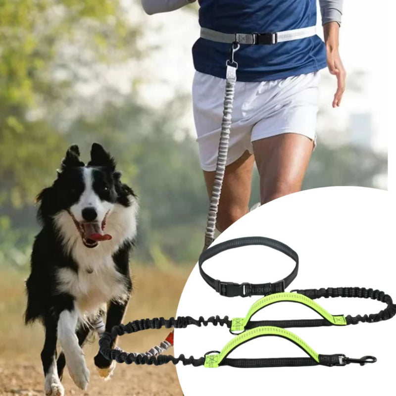 Guia Mãos Livres para Pets - Ideal para Corridas e Caminhadas ao Ar Livre