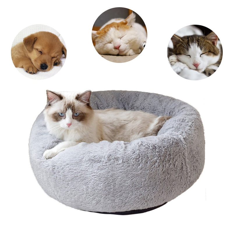 Puff Pet Kennel
