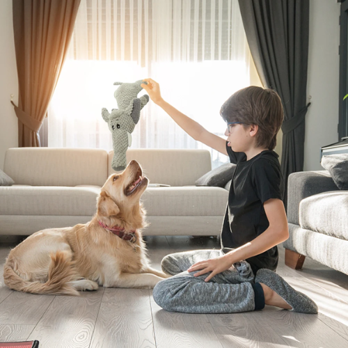Brinquedo de Pelúcia Selva para Pets – Estímulo e Conforto