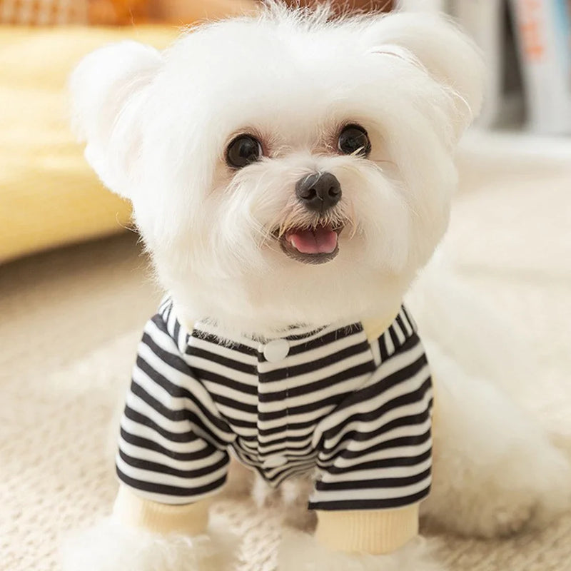 Camisa Listrada para Pets – Conforto e Estilo para Cães e Gatos