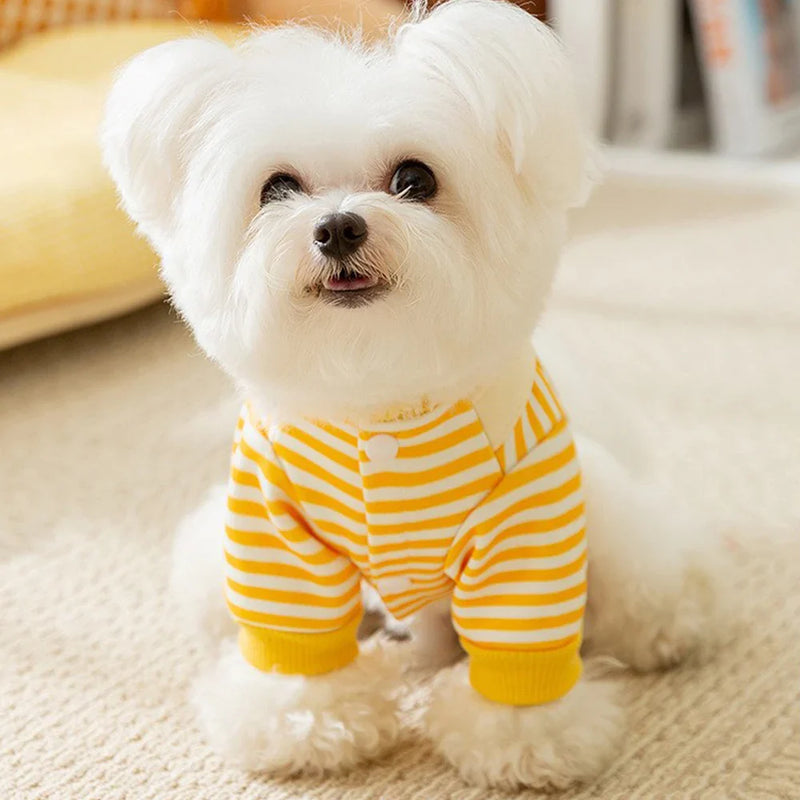 Camisa Listrada para Pets – Conforto e Estilo para Cães e Gatos