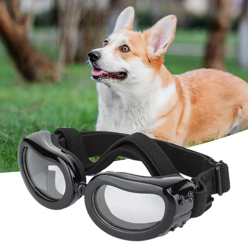 Óculos de Sol para Cães e Gatos – Proteção UV, Prova de Vento para Passeios ao Ar Livre