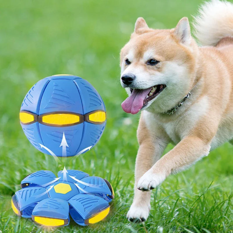 Bola UFO Voadora para Cães – Brinquedo Interativo com Lançamento a Distância