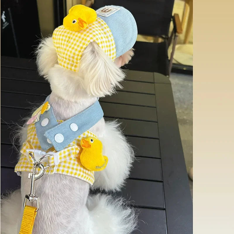 Conjunto Boné e Peitoral Patinho – Estilo Fofo e Conforto