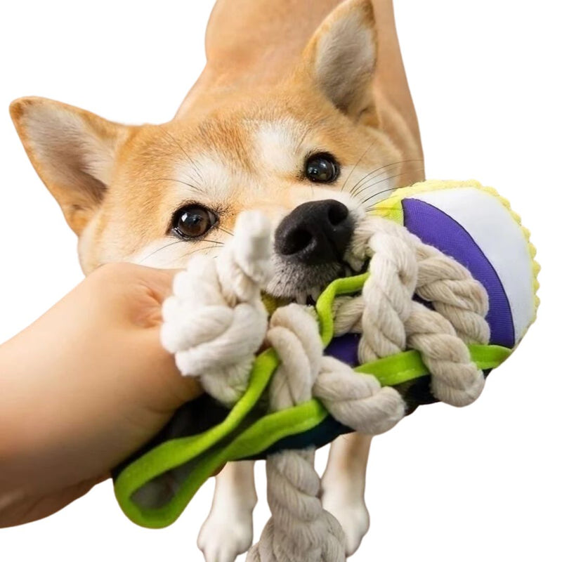 Sapato Mastigável para Cachorros - Satisfaz o Instinto de Roer