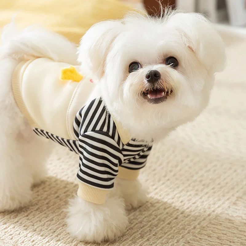 Camisa Listrada para Pets – Conforto e Estilo para Cães e Gatos