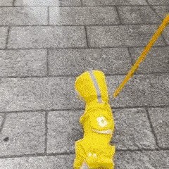 Capa de Chuva Impermeável para Pets – Proteção e Conforto em Dias de Chuva