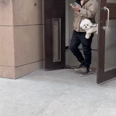 Bolsa de Transporte Moderna para Pets – Conforto e Estilo em Viagens