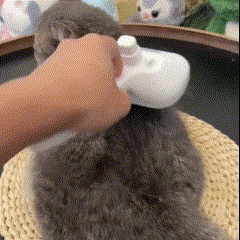 Escova Removedora de Pelos 3 em 1 com Vapor para Cães e Gatos