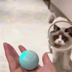 Bola Inteligente Interativa para Pets – Estímulo Físico e Mental com Carregamento USB