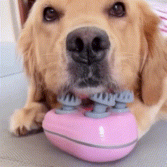 Massageador Elétrico Portátil para Pets Ansiosos – Uso Seco e Molhado