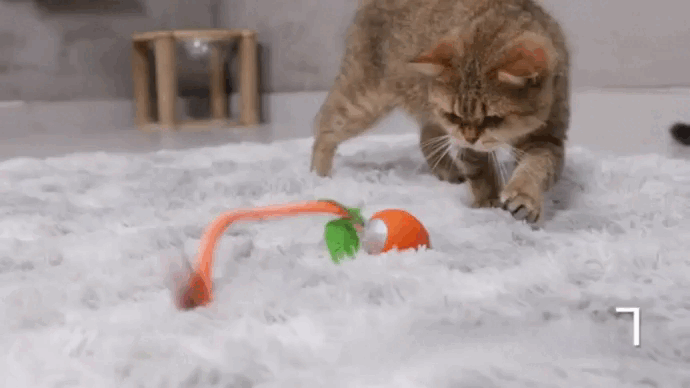 Brinquedo Interativo Recarregável Cenoura para Pets – Estímulo Cognitivo e Diversão